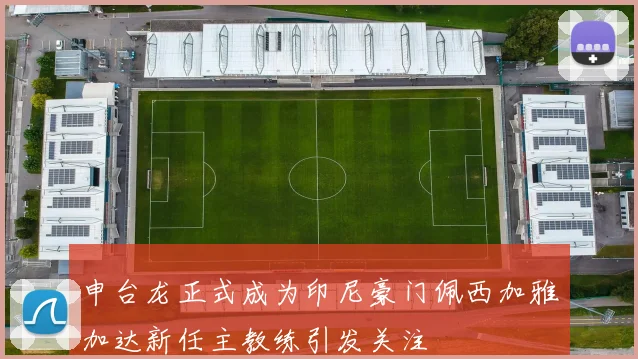 申台龙正式成为印尼豪门佩西加雅加达新任主教练引发关注